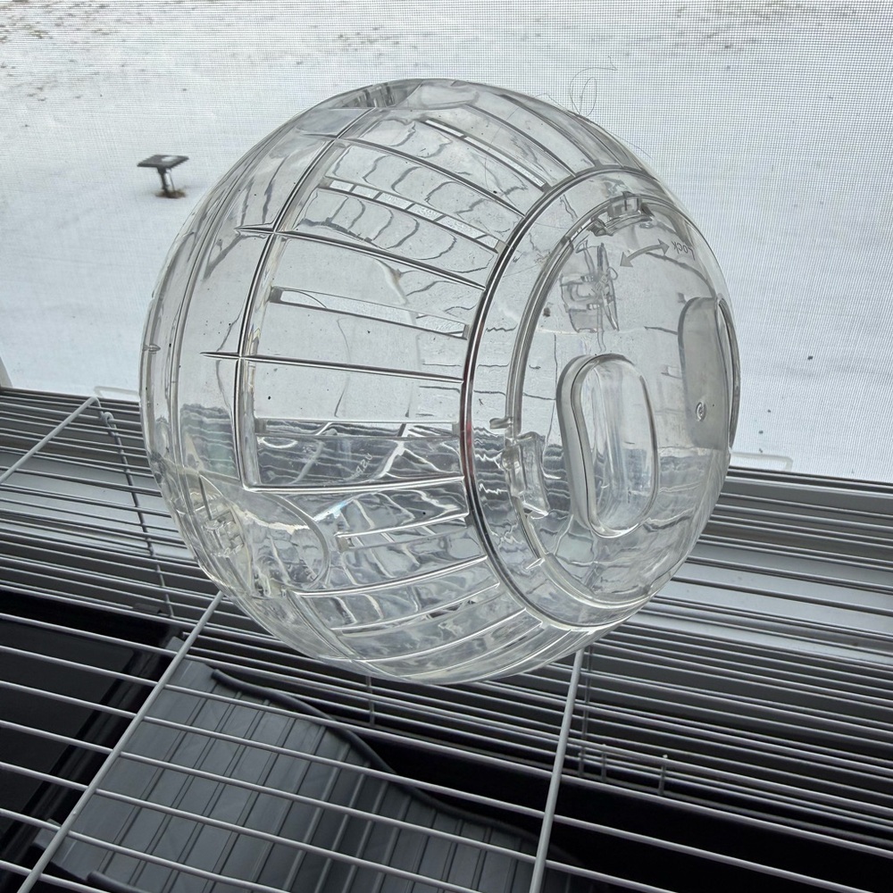 Clear Hamster Exercise Ball